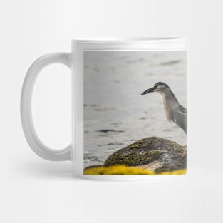 Black-crowned night heron of hawaii 2 Mug